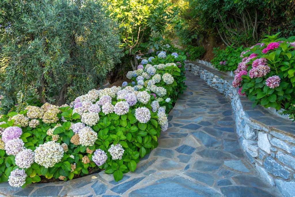 Barbarella Luxury Resort Agios Ioannis  Exterior foto